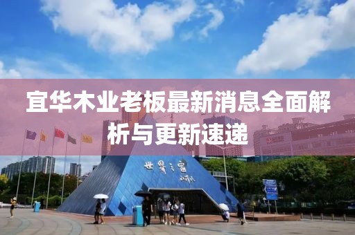 宜華木業(yè)老板最新消息全面解析與更新速遞