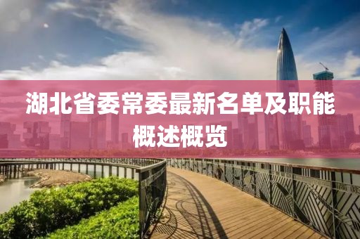 湖北省委常委最新名單及職能概述概覽