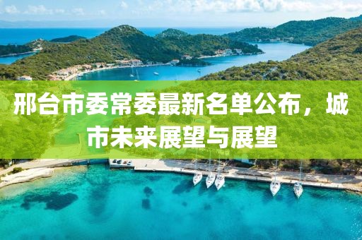 邢臺(tái)市委常委最新名單公布，城市未來(lái)展望與展望