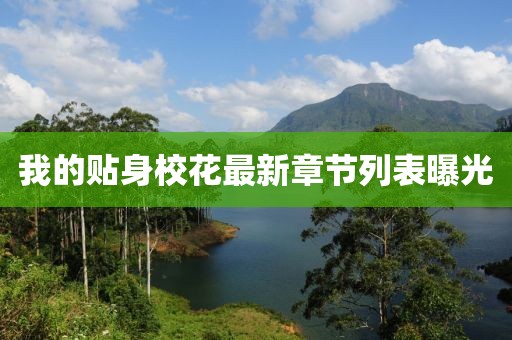 我的貼身?；ㄗ钚抡鹿?jié)列表曝光