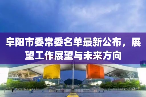 阜陽(yáng)市委常委名單最新公布，展望工作展望與未來(lái)方向