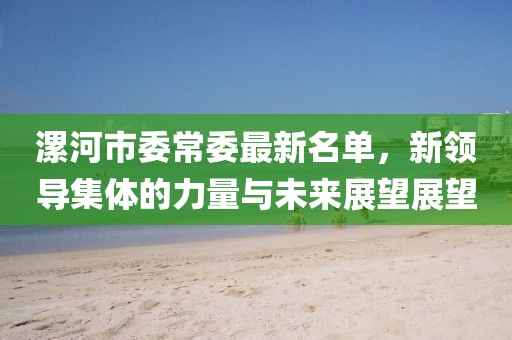 漯河市委常委最新名單，新領導集體的力量與未來展望展望