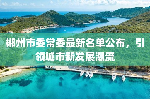 郴州市委常委最新名單公布，引領城市新發(fā)展潮流