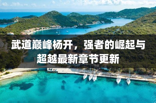 武道巔峰楊開，強(qiáng)者的崛起與超越最新章節(jié)更新