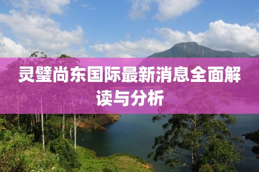 靈璧尚東國際最新消息全面解讀與分析