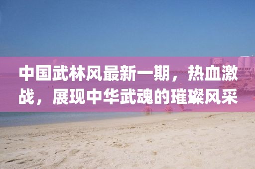 中國武林風(fēng)最新一期，熱血激戰(zhàn)，展現(xiàn)中華武魂的璀璨風(fēng)采