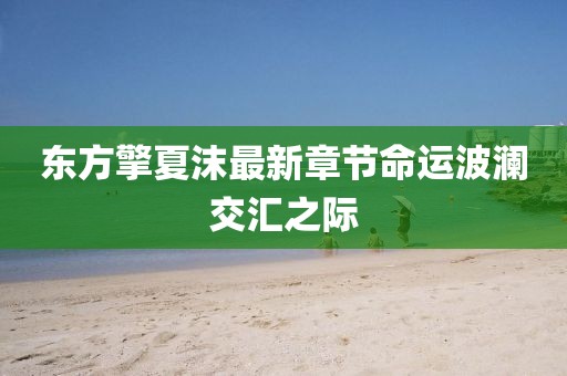 東方擎夏沫最新章節(jié)命運(yùn)波瀾交匯之際
