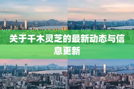 關(guān)于千木靈芝的最新動態(tài)與信息更新