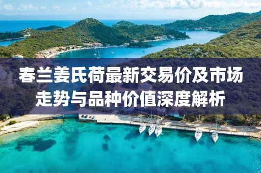 春蘭姜氏荷最新交易價及市場走勢與品種價值深度解析