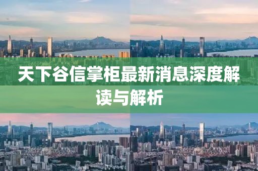 天下谷信掌柜最新消息深度解讀與解析