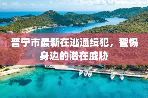 普寧市最新在逃通緝犯，警惕身邊的潛在威脅
