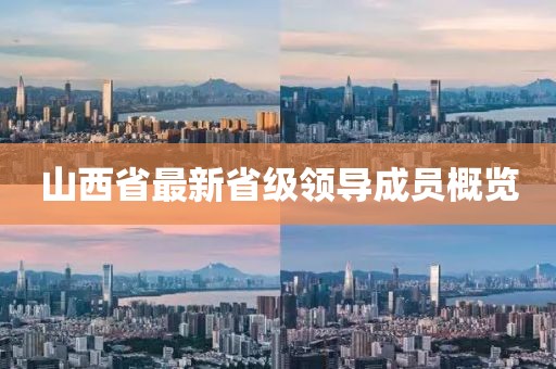山西省最新省級(jí)領(lǐng)導(dǎo)成員概覽