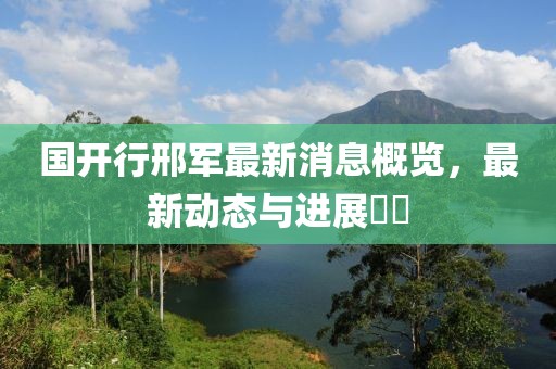 國開行邢軍最新消息概覽，最新動態(tài)與進展??