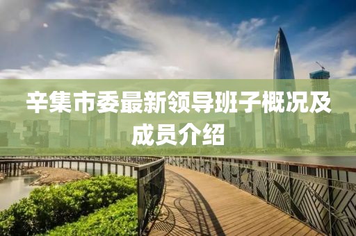 辛集市委最新領導班子概況及成員介紹