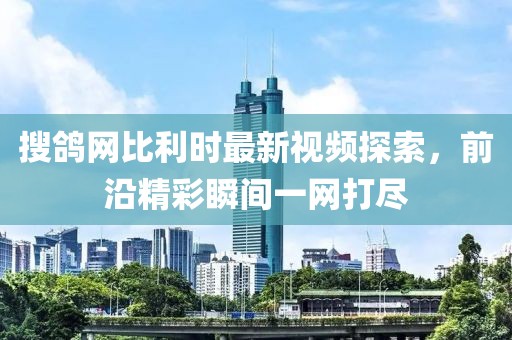 搜鴿網(wǎng)比利時(shí)最新視頻探索，前沿精彩瞬間一網(wǎng)打盡