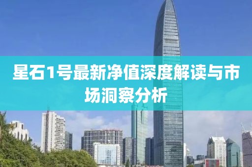 星石1號(hào)最新凈值深度解讀與市場(chǎng)洞察分析