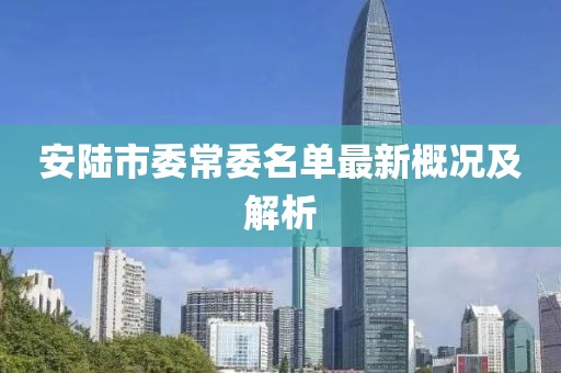 安陸市委常委名單最新概況及解析