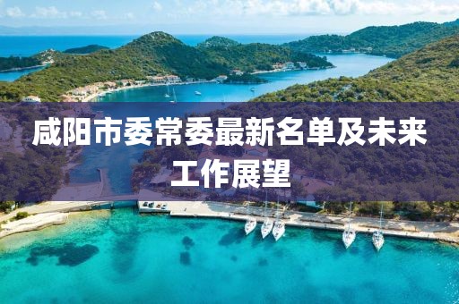 咸陽市委常委最新名單及未來工作展望