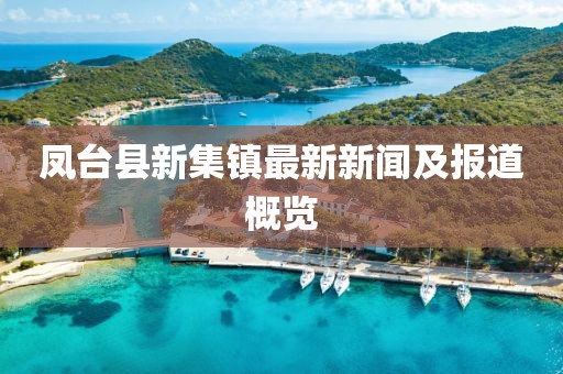 鳳臺縣新集鎮(zhèn)最新新聞及報道概覽