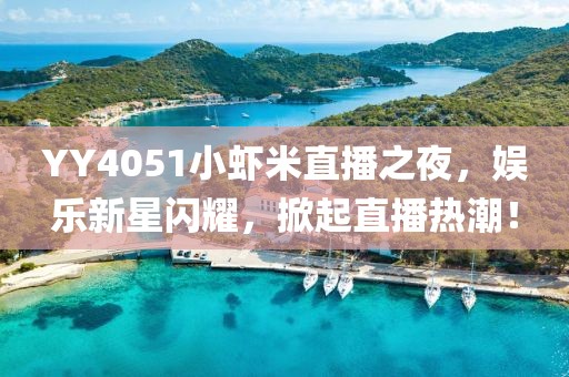 YY4051小蝦米直播之夜，娛樂新星閃耀，掀起直播熱潮！