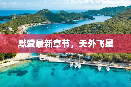默愛(ài)最新章節(jié)，天外飛星