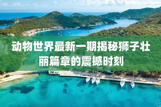 動物世界最新一期揭秘獅子壯麗篇章的震撼時刻