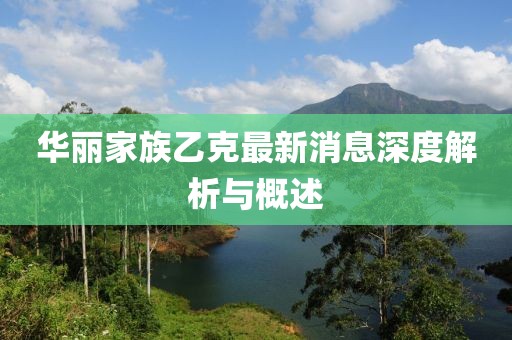 華麗家族乙克最新消息深度解析與概述