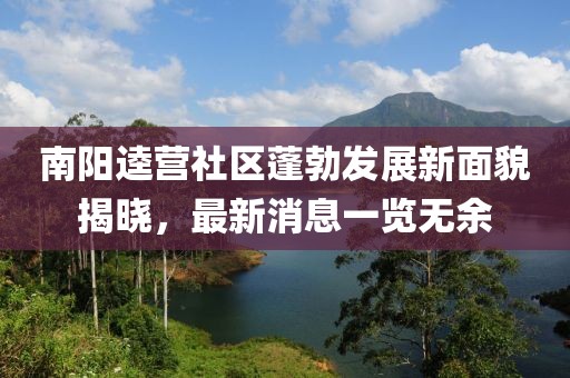南陽(yáng)逵營(yíng)社區(qū)蓬勃發(fā)展新面貌揭曉，最新消息一覽無(wú)余