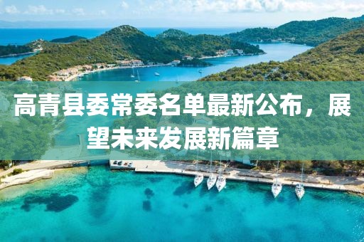 高青縣委常委名單最新公布，展望未來發(fā)展新篇章