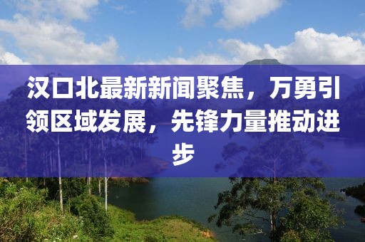 漢口北最新新聞聚焦，萬勇引領(lǐng)區(qū)域發(fā)展，先鋒力量推動進步