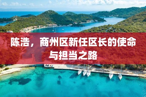 陳浩，商州區(qū)新任區(qū)長的使命與擔(dān)當(dāng)之路