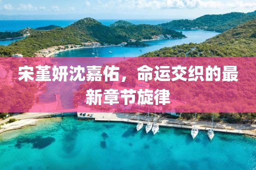 宋堇妍沈嘉佑，命運(yùn)交織的最新章節(jié)旋律