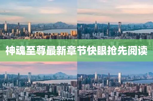 神魂至尊最新章節(jié)快眼搶先閱讀