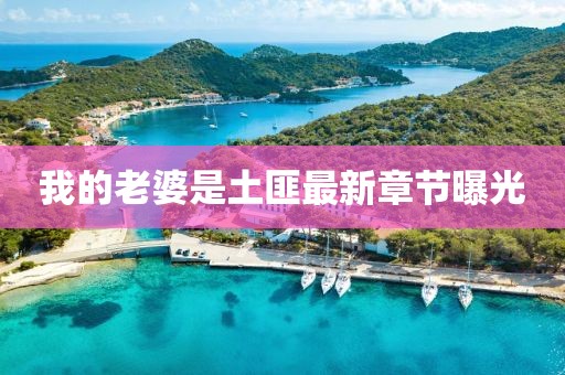 我的老婆是土匪最新章節(jié)曝光