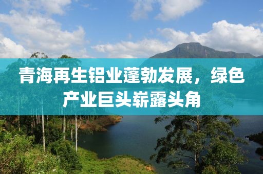 青海再生鋁業(yè)蓬勃發(fā)展，綠色產(chǎn)業(yè)巨頭嶄露頭角