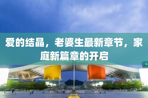 愛的結(jié)晶，老婆生最新章節(jié)，家庭新篇章的開啟