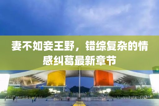 妻不如妾王野，錯(cuò)綜復(fù)雜的情感糾葛最新章節(jié)