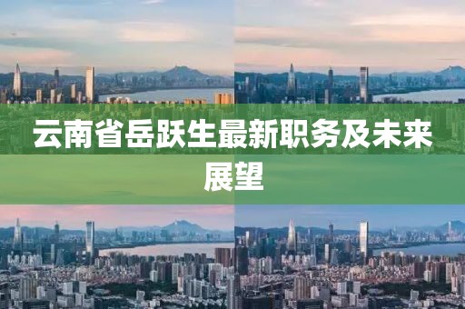 云南省岳躍生最新職務及未來展望