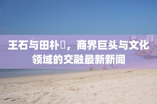 王石與田樸琤，商界巨頭與文化領(lǐng)域的交融最新新聞