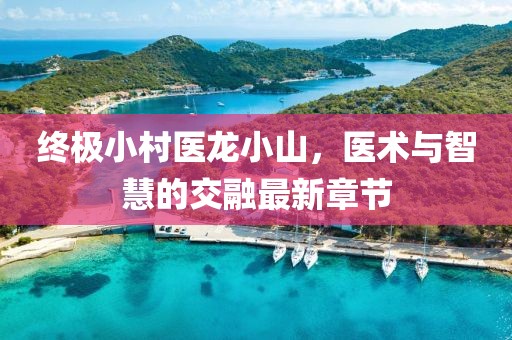 終極小村醫(yī)龍小山，醫(yī)術(shù)與智慧的交融最新章節(jié)