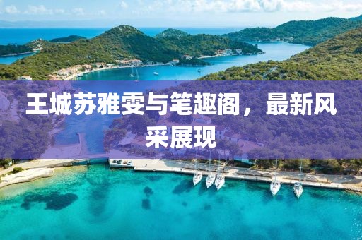 王城蘇雅雯與筆趣閣，最新風(fēng)采展現(xiàn)