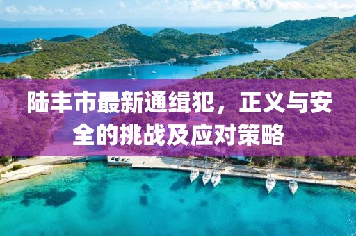 陸豐市最新通緝犯，正義與安全的挑戰(zhàn)及應(yīng)對策略