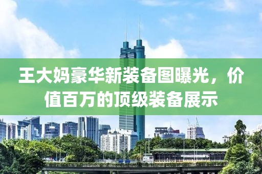 王大媽豪華新裝備圖曝光，價值百萬的頂級裝備展示