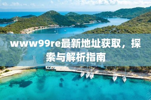 www99re最新地址獲取，探索與解析指南
