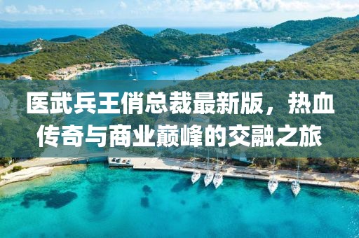 醫(yī)武兵王俏總裁最新版，熱血傳奇與商業(yè)巔峰的交融之旅