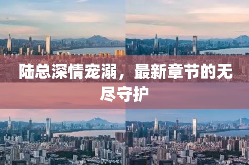 陸總深情寵溺，最新章節(jié)的無盡守護(hù)