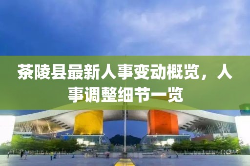 茶陵縣最新人事變動(dòng)概覽，人事調(diào)整細(xì)節(jié)一覽