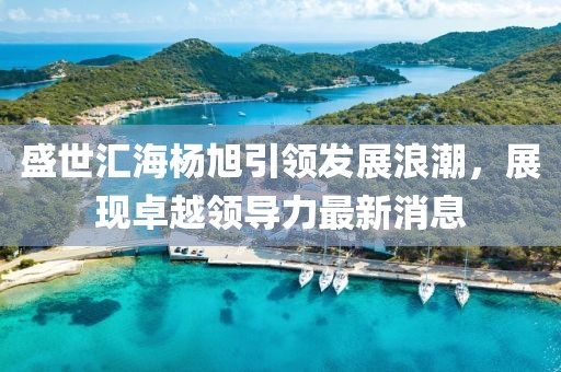 盛世匯海楊旭引領(lǐng)發(fā)展浪潮，展現(xiàn)卓越領(lǐng)導(dǎo)力最新消息