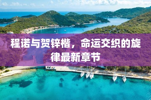 程諾與賀鋅楷，命運(yùn)交織的旋律最新章節(jié)