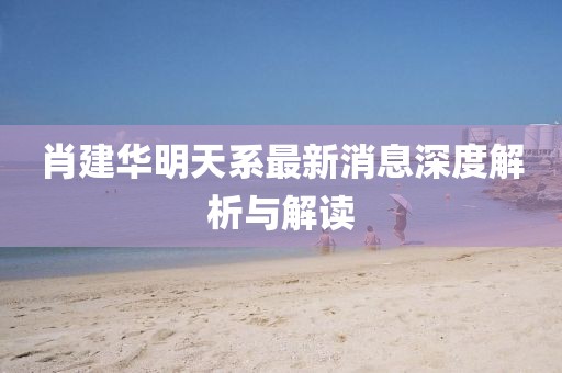 肖建華明天系最新消息深度解析與解讀